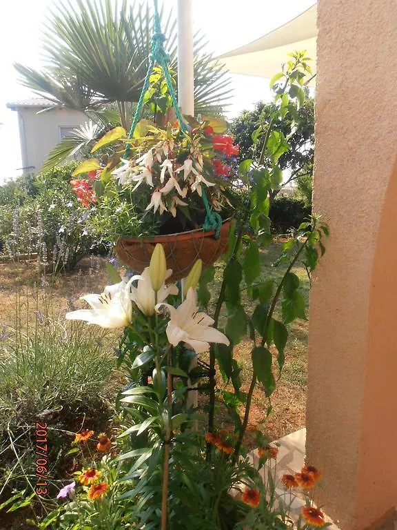 Apartment Steblaj Pula
